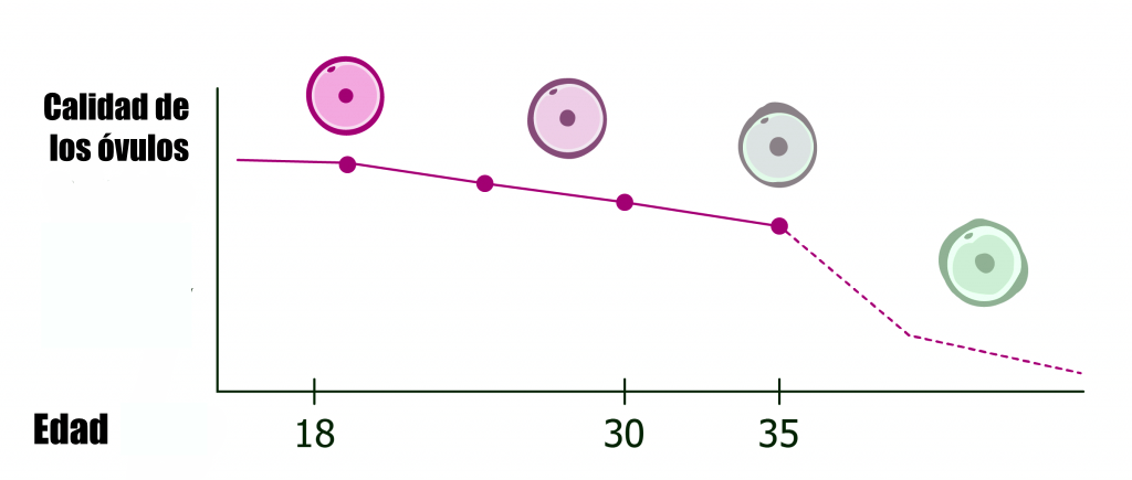 Calidad de Óvulos y Edad