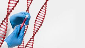 Test de ADN Fetl - In Vitro Buenos Aires